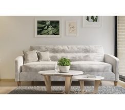 1.1DOMUS