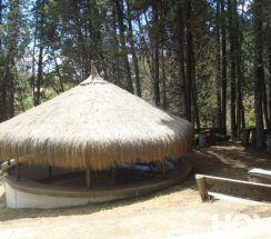 14T copia