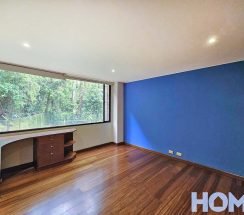 24StellaRosales