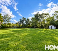 5Sunny Garden Lawn with Soccer Goal and Shed