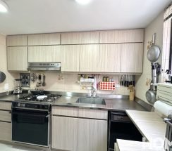 6IMG_6356