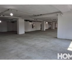 8-20250114_130105