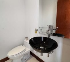 APDV4 copia
