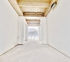 IMG_3251