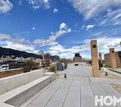 IMG_7856