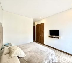 PM2078605