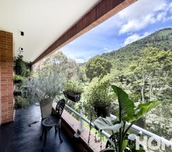 ecIMG_3631