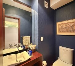 x51-IMG_6931